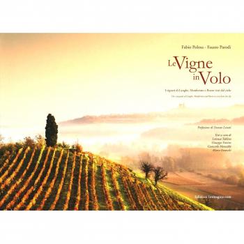 Le vigne in volo. I vigneti di Langhe, Monferrato e Roero visti dal cielo. Ediz. italiana e inglese