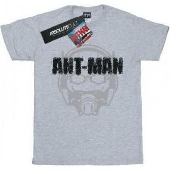 Marvel Men's Ant-Man Helmet Fade T-Shirt L grey