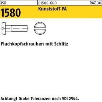 Flachkopfschraube M 5 x 16 Polyamid ISO 1580 200 Stück