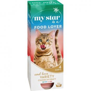 10x85g My Star est un amateur de nourriture (4 saveurs)