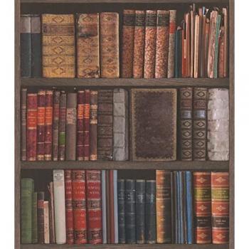 Estampado Pared Biblioteca Libros 3D Rasch 934809