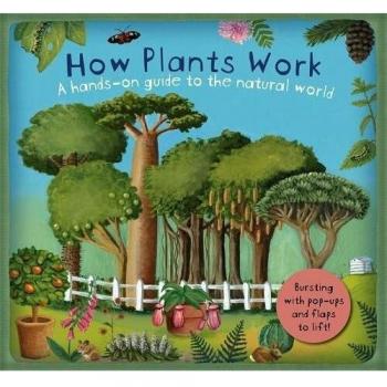 How Plants Work