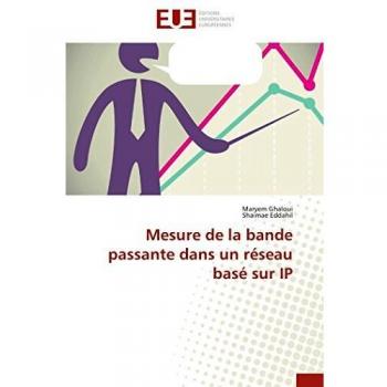 Mesure de la bande passante dans un réseau basé sur IP (Omn.Univ.Europ.)