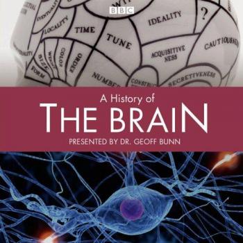 History Of The Brain, A