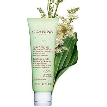Clarins Purifying Gentle Foaming Cleanser Combination Oily Skin 4.2 oz. Sealed