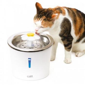 Catit Fonte de Água para Gatos com Design Floral em Aço Inoxidável
