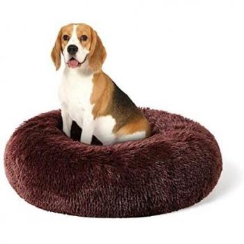 Calming Cat Beds Medium Washable Pet Bed