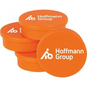 Hoffmann Ferrite Magnetic Set – 4 Organi