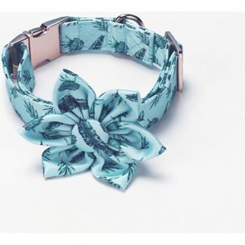 Collier Chic pour Chiots