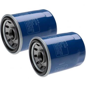 2-Pack Vhbw Oil Filters for Gehl Digger Motors