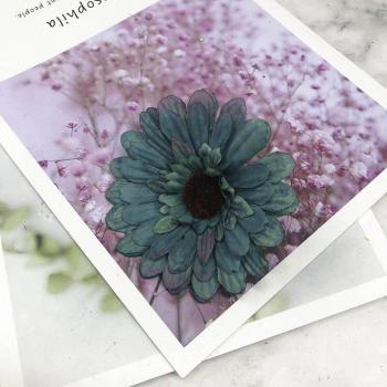 YOOROMER 5pcs Silk Autumn Sunflower Heads for Office Decoration