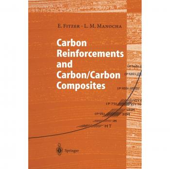 Carbon Reinforcements and Carbon/Carbon Composites