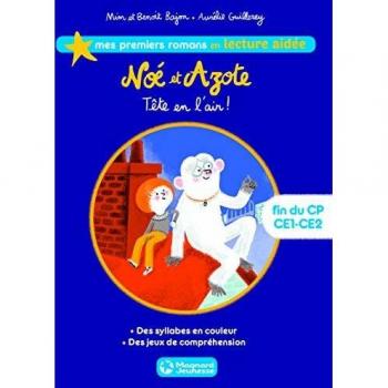 Lecture Aidee Noé et Azote T4 Tete en l'Air