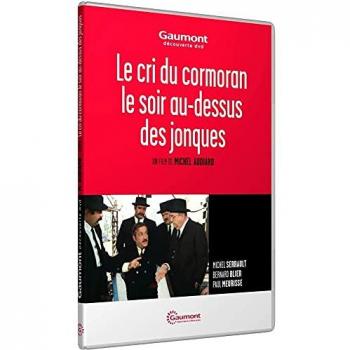 Le Cri du Cormoran : Voyage au Coucher de Soleil
