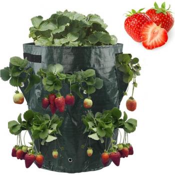 GardenFlex Strawberry Tomato Planter – 5/7/10 Gallon Reusable Bag