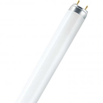 Osram T8 Leuchte – 18 W, 830 XXT, 590 mm, G13‑Buchse