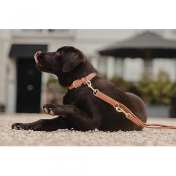 Collar de perro Kentucky en cuero vegano
