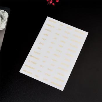 Separador Espiral SharkBang para Cuadernos
