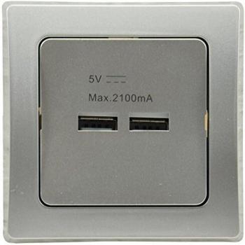 DELPHI USB Ladeeinheit 2 Anschlüsse 2,1A