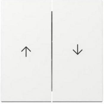 Dual Rocker Switch with Arrow