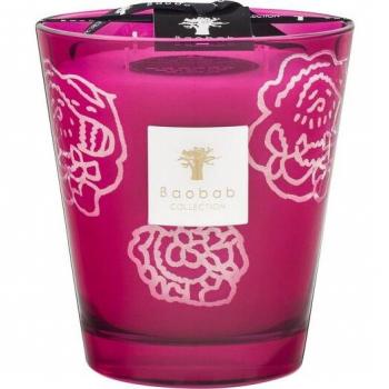 Baobab Collection Roses Burgundy Scent Candle 16 cm
