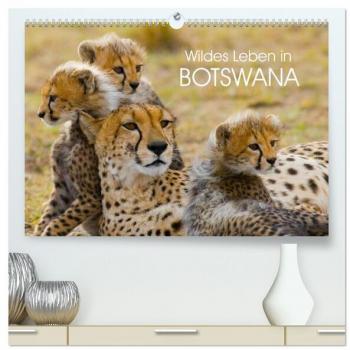 Premium Wandkalender Wildes Leben in Botswana 2024