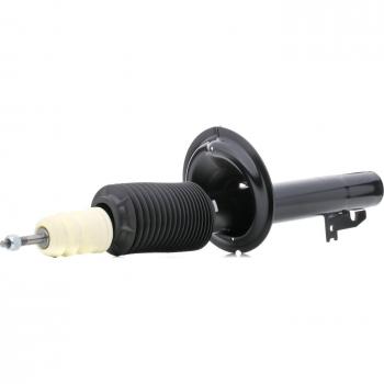 RIDEX Ammortizzatore FORD 1128569