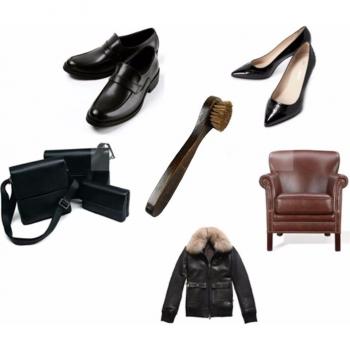 Set Dauber: Pulidor, Limpiador y Cepillos de Zapatos