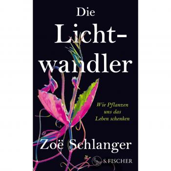 Die Lichtwandler