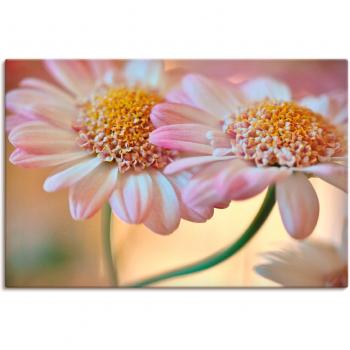 Artland Wandbild »Zweisamkeit«, romantisches Blumenbild, als Leinwand erhältlich