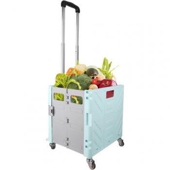 Bote Plegable con Varilla Extensible