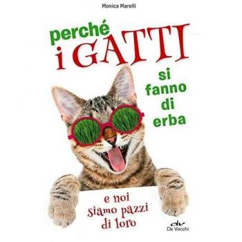 Perché i gatti si fanno di erba e noi siamo pazzi di loro
