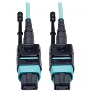 AquaFiber 12-Mode MTP 33FT Patch
