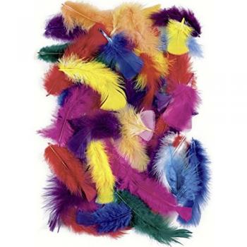 Plumes Variées 4-20 cm – 100 g