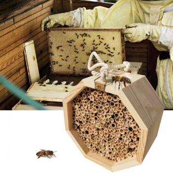 Abri de Jardin Abeille‑Coccinelle