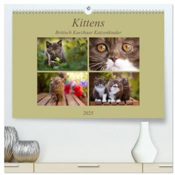 Kittens