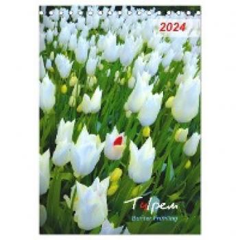 Tulpen. Bunter Frühling (Tischkalender 2024 DIN A5 hoch) CALVENDO Monatskalender