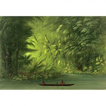 Puzzle Historique : Entrée dans une lagune, rive de l'Amazonie, 1854-1869