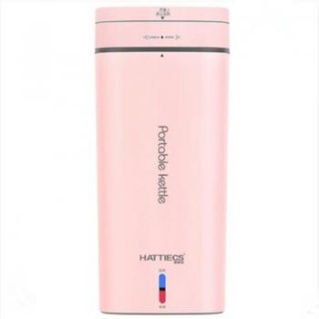 Bouilloire électrique compacte EcoBoil 500 ml