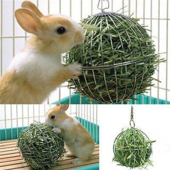 Stainless Steel Pet Toy: Round Hay Ball for Small Animals