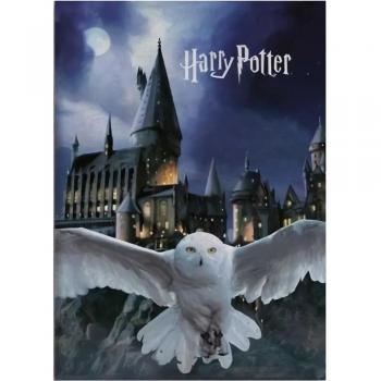 Manta Harry Potter 100 x 140