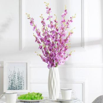 Mariposas y Orquídeas de Ensueño