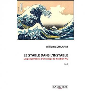Le stable dans l'instable les peregrinations d'un rescape de dien-bien-phu