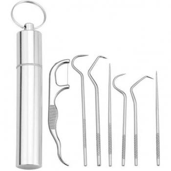 Outdoor Stainless Steel Toothpick and Holder
