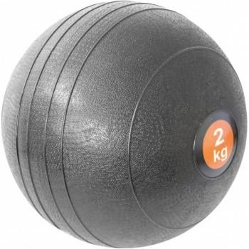 Sveltus Slam Ball 2 kg Schwarz Unisex