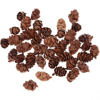 100 Natural Pine Cones for Craft Projects