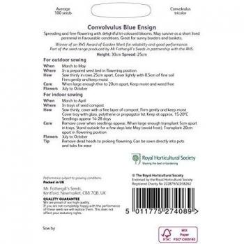 Mr Fothergill's 100 Seeds of RHS Convolvulus Blue Ensign