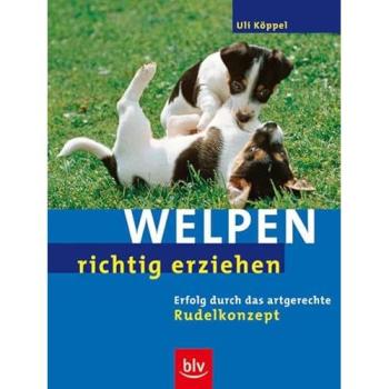 Welpen richtig erziehen | Uli Koppel | German | Buch