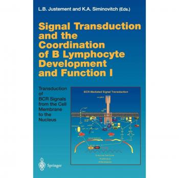 Signal Transduction and the Coordination of B Lymphocyte Development and Function I