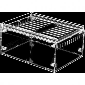 Caja Multiusos: Serpiente, Araña y Escorpión